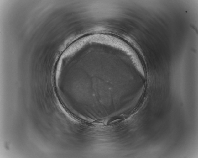 X0000101971429200808081540