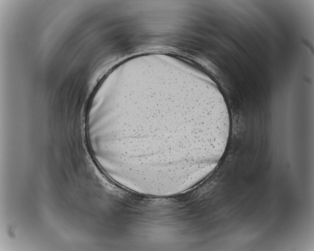 X0000101971430200808081540