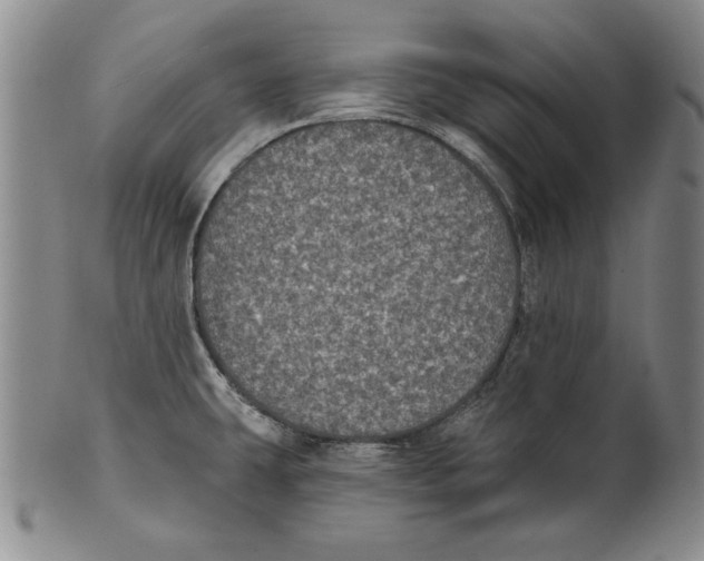 X0000101971431200808081540