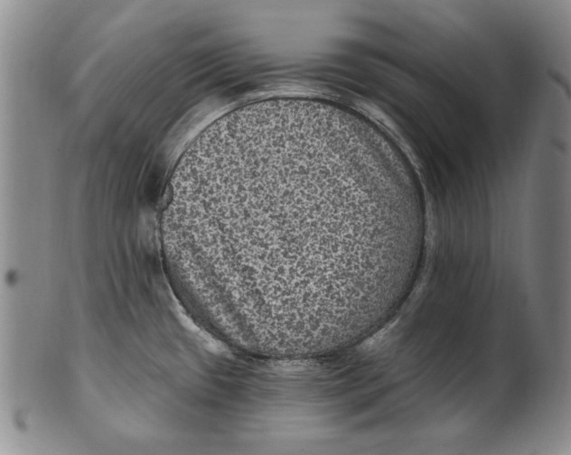 X0000101971433200808081541