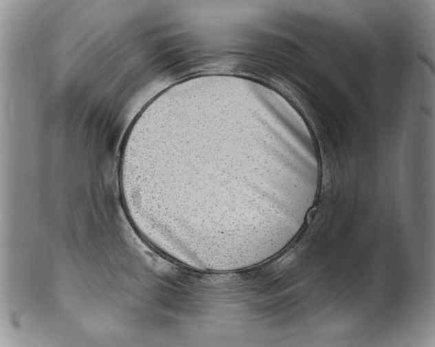 X0000101971434200808081541