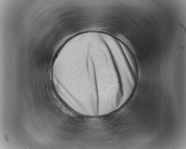 X0000101971436200808081541