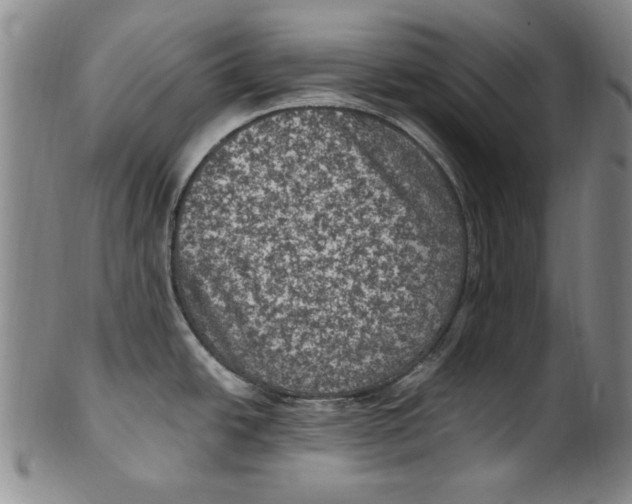 X0000101971438200808081541
