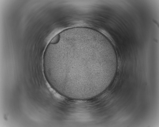 X0000101971439200808081541