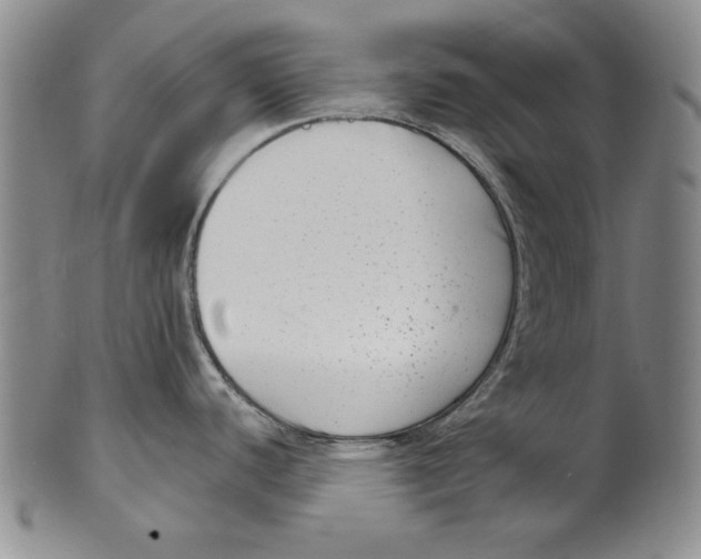 X0000101971440200808081541