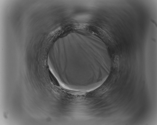 X0000101971441200808081540