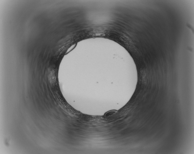 X0000101971442200808081540
