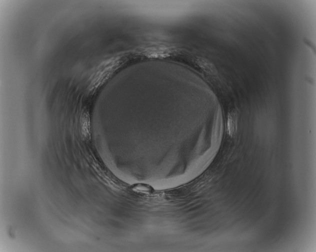 X0000101971444200808081540