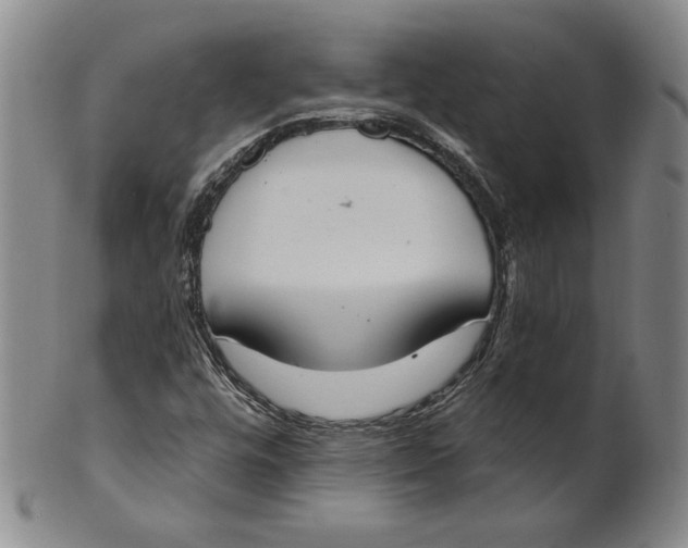 X0000101971448200808081540