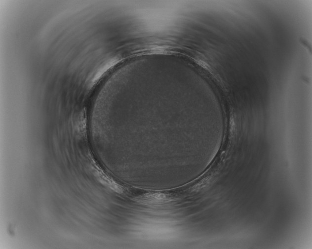 X0000101971450200808081540