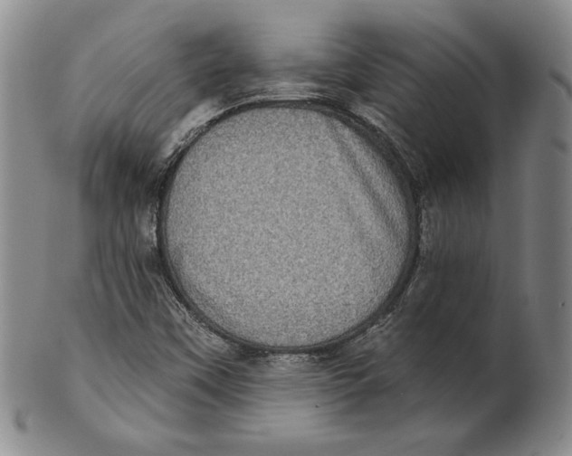 X0000101971451200808081540