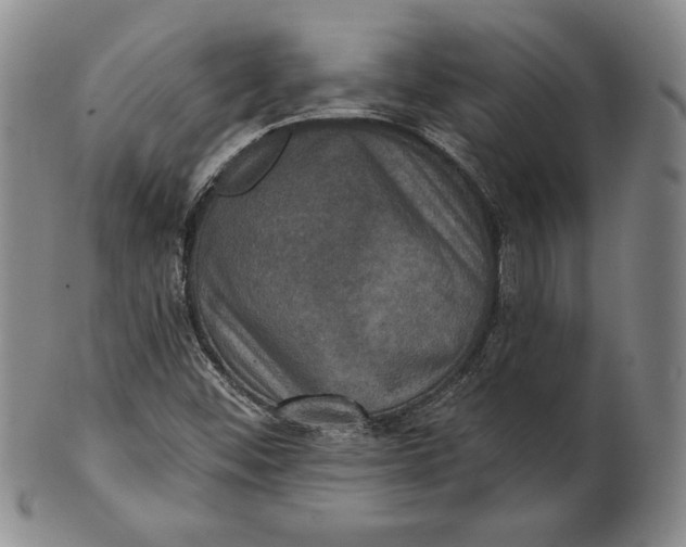 X0000101971452200808081540
