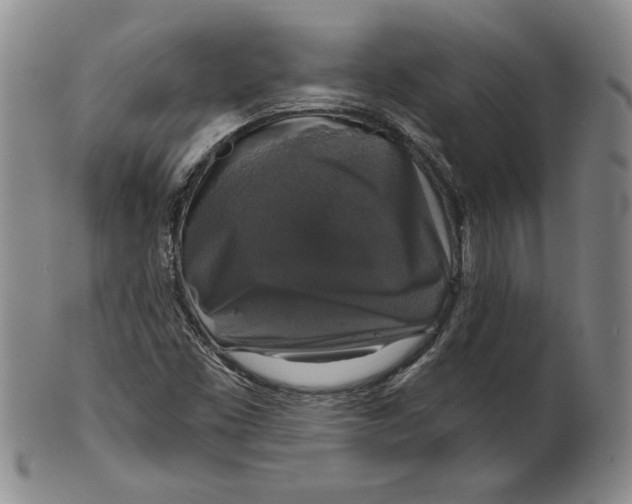 X0000101971453200808081540