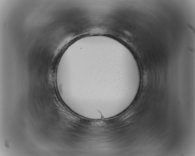 X0000101971454200808081540