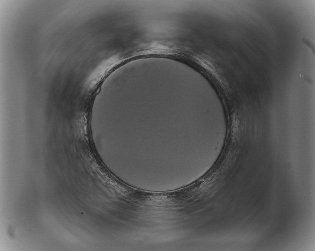 X0000101971455200808081540