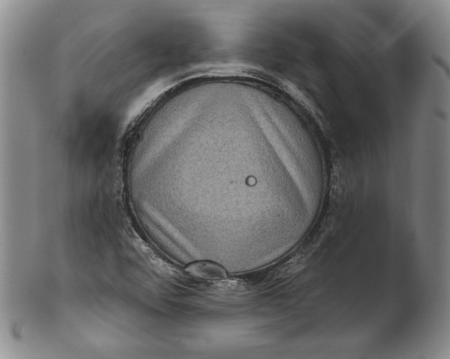 X0000101971456200808081540