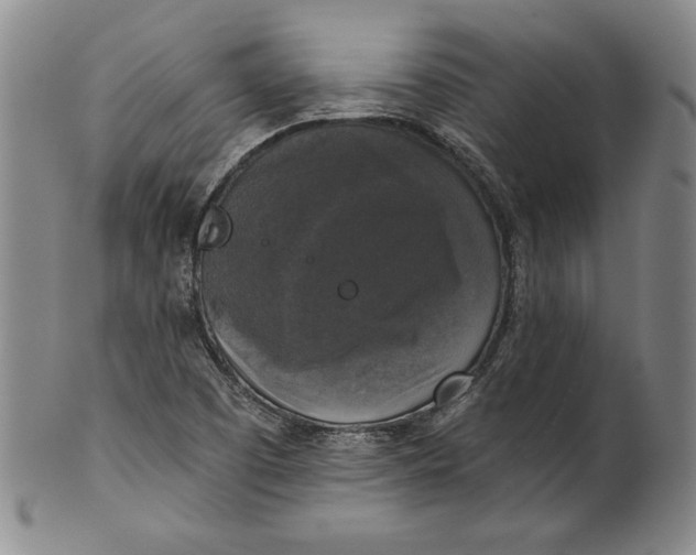 X0000101971457200808081540