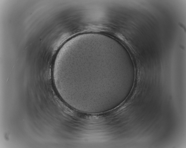 X0000101971459200808081540