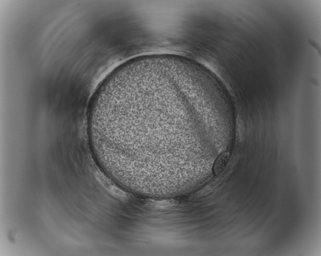 X0000101971460200808081540