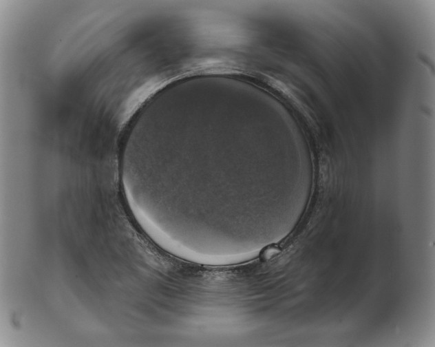 X0000101971461200808081540