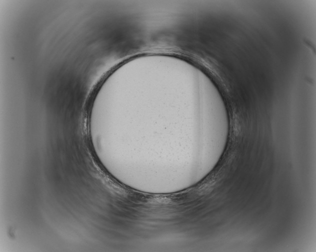 X0000101971462200808081540