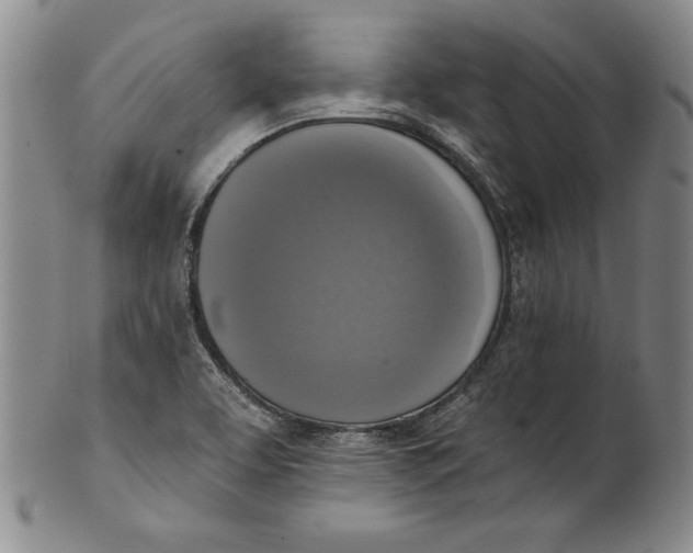 X0000101971463200808081540