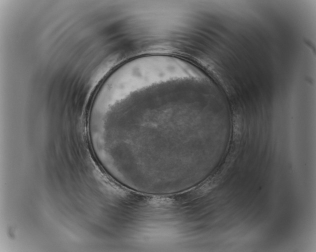X0000101971466200808081539