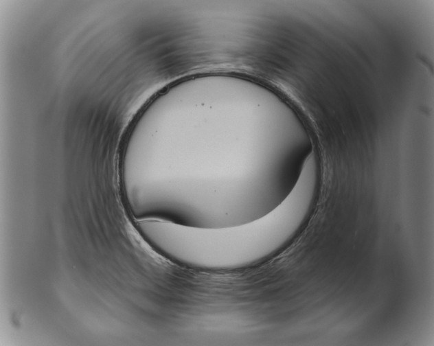X0000101971468200808081539