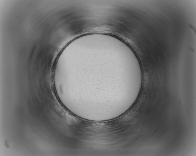 X0000101971470200808081539
