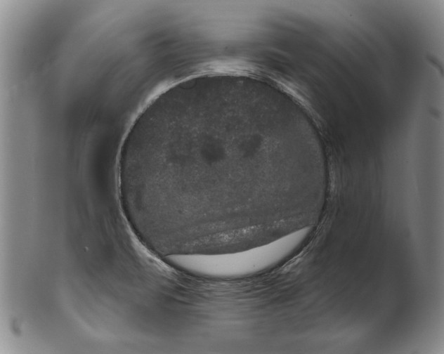 X0000101971471200808081539