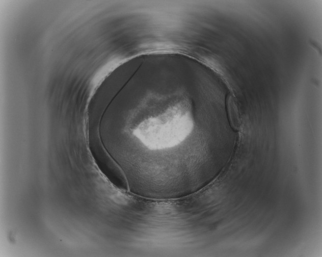 X0000101971472200808081539