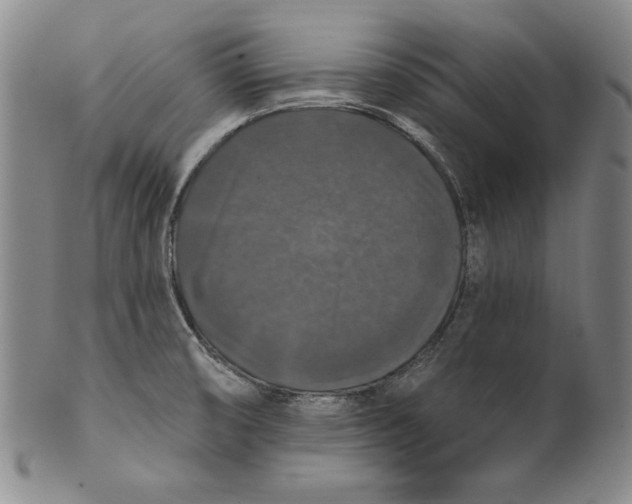 X0000101971474200808081539