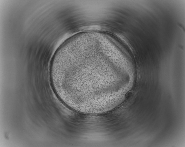 X0000101971475200808081539