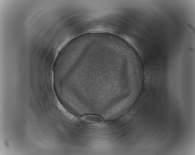 X0000101971476200808081539