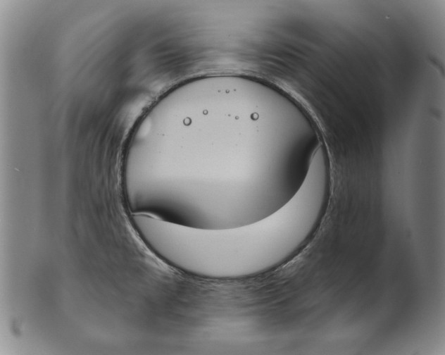 X0000101971477200808081539