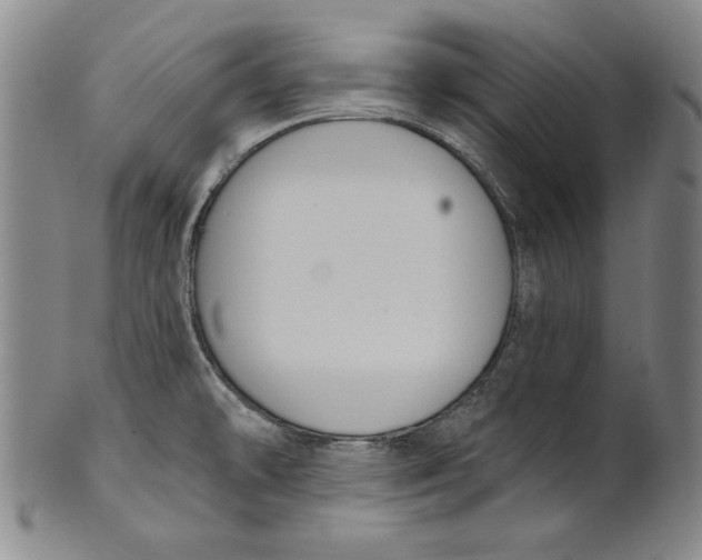 X0000101971478200808081539