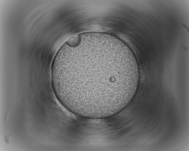 X0000101971479200808081539