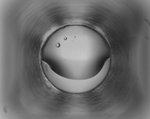 X0000101971480200808081539