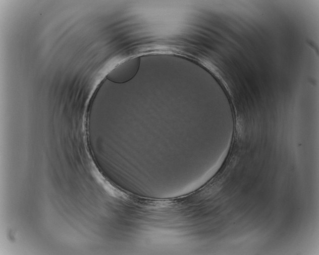 X0000101971482200808081539