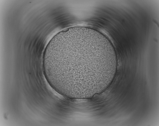 X0000101971483200808081539