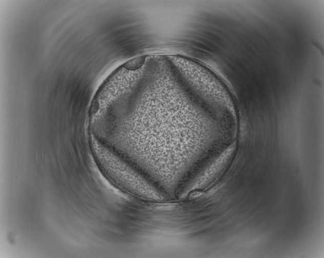 X0000101971484200808081539