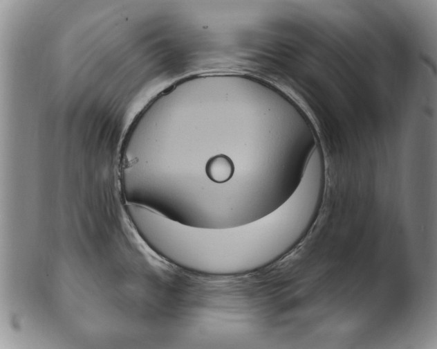 X0000101971485200808081539