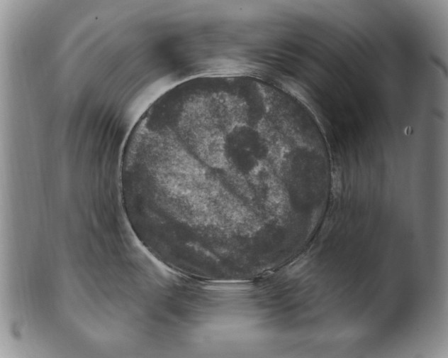 X0000101971487200808081539