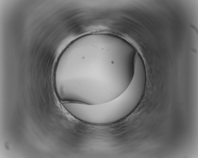 X0000101971488200808081539