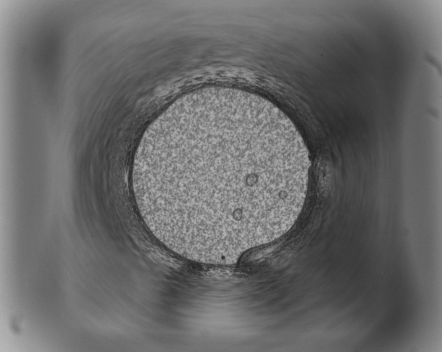 X0000101971489200808081538