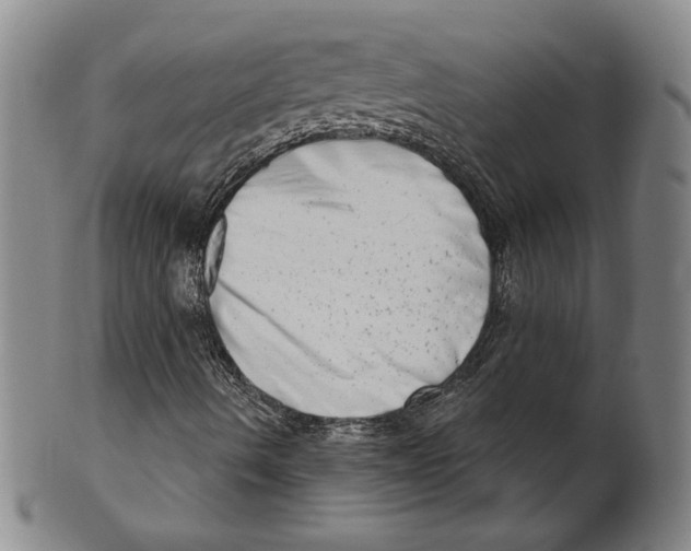 X0000101971490200808081539