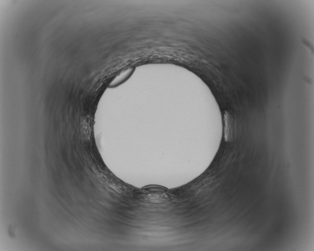X0000101971491200808081539