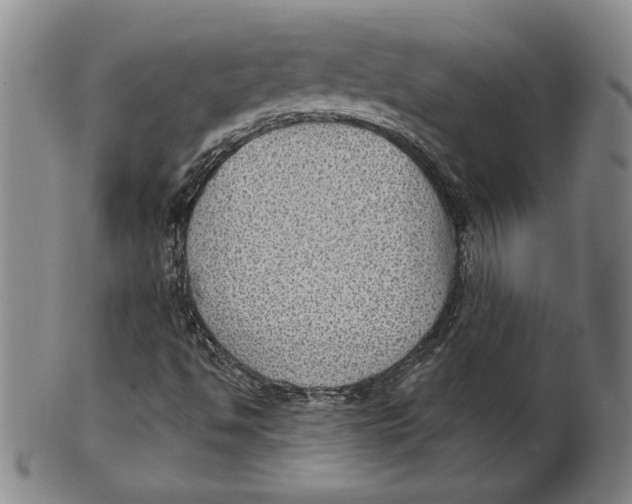X0000101971494200808081539