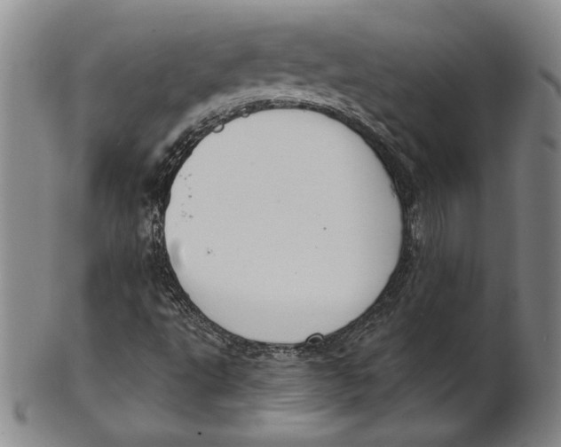 X0000101971495200808081539