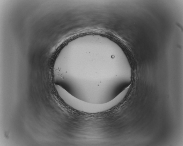 X0000101971496200808081539